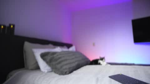 Snapshot of diagostone chatting on 26, 11, 2025 Diego online show from 26, 11, 2025