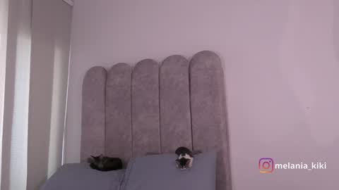 Snapshot of dianne_nanatzu chatting on 20, 12, 2024 Melania - online show from 20, 12, 2024