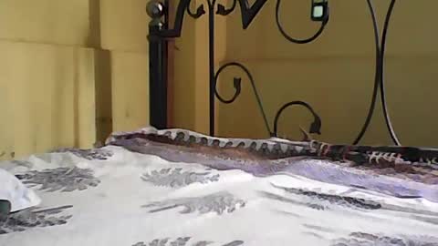 Snapshot of dicks_balls chatting on 9, 8, 2026 Dick balls online show from 9, 8, 2026