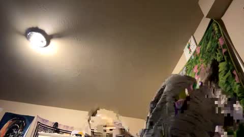 Snapshot of digbickjay42099 chatting on 14, 12, 2024 digbickjay42099 online show from 14, 12, 2024