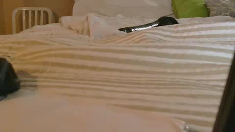 dildosnme22 online show from 9, 2, 2026