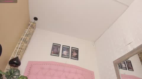 DIOSA online show from 18, 2, 2025