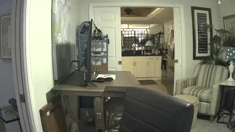 Snapshot of dirkpitt223 chatting on 9, 2, 2025 DirtkPitt Fun guy working online show from 9, 2, 2025