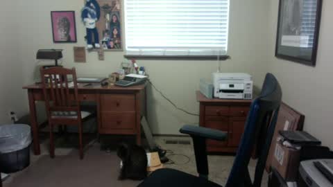 Snapshot of dirtrider195080438 chatting on 28, 6, 2026 dirtrider195080438 online show from 28, 6, 2026