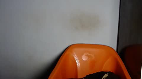 dirtydesirebabe online show from 2, 4, 2026