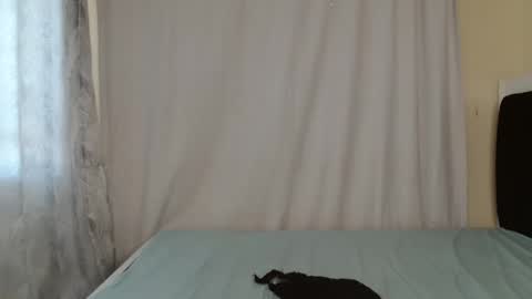 disah_002 online show from 28, 5, 2026