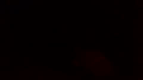 dixienormes online show from 8, 12, 2024