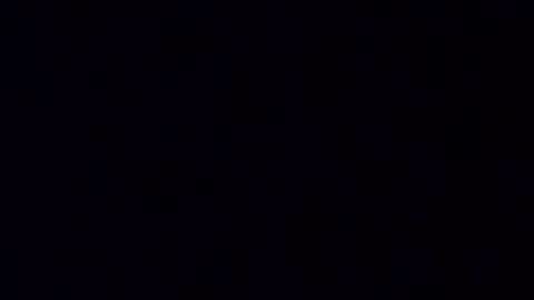 dixonbird41 online show from 3, 3, 2025