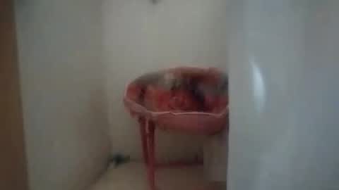 dixonbird41 online show from 6, 10, 2025