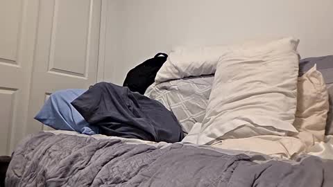 djaxxx_2020 online show from 27, 3, 2026