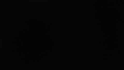 Snapshot of dlt22 chatting on 12, 4, 2026 dlt22 online show from 12, 4, 2026