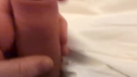 Bigslick online show from 2, 2, 2026