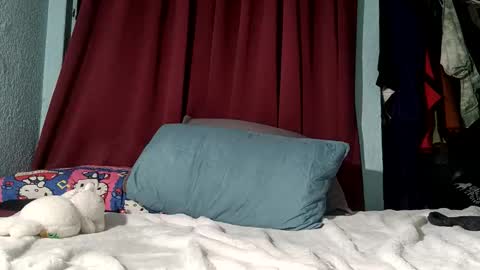 MrPepino online show from 14, 5, 2026