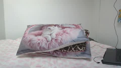 Snapshot of dolcevainin chatting on 2, 4, 2026 Dolcevainin online show from 2, 4, 2026