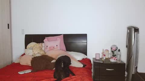 Snapshot of doll_and_sex chatting on 24, 2, 2025 Auro and Santiago online show from 24, 2, 2025
