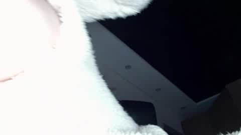 Snapshot of dolly_sun chatting on 20, 12, 2024 ILONA online show from 20, 12, 2024