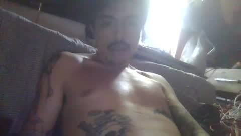 doloryplacer online show from 21, 7, 2026