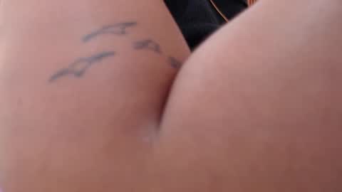 domenica online show from 28, 2, 2026