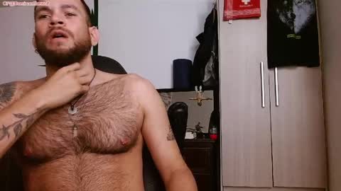 Logan - INDEPENDET MODEL online show from 24, 5, 2026