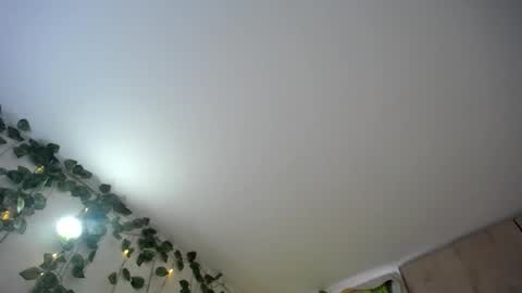Snapshot of dominic_sofia chatting on 18, 6, 2026 dominic_sofia online show from 18, 6, 2026