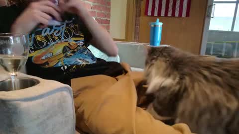 dommepleasemistress online show from 30, 3, 2026