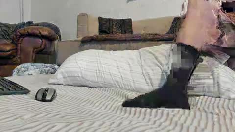 Rick online show from 17, 1, 2025