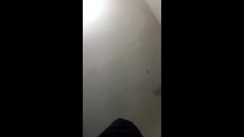 donkeykong34418301 online show from 3, 3, 2026