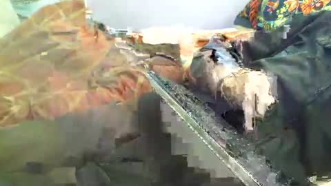 Hello  welcome to Slutsville  I am the Naked Chef  really  but you may call me Peter online show from 18, 4, 2026