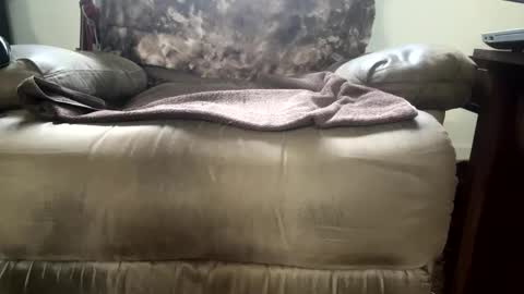 Snapshot of dotcom0063 chatting on 15, 11, 2025 dotcom0062 online show from 15, 11, 2025