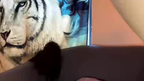 dove_love22 online show from 17, 10, 2025