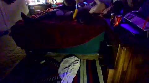 Snapshot of dowhatuwantwithme100 chatting on 9, 2, 2026 Driver Dick Kylie Tits online show from 9, 2, 2026