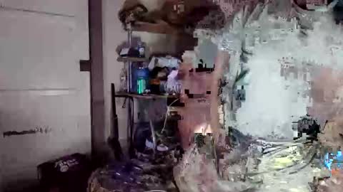 MrPirated online show from 8, 4, 2026