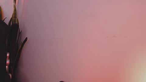 drake_cole11 online show from 4, 2, 2025