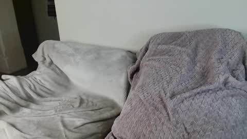 Snapshot of drayanicole1 chatting on 5, 12, 2024 Draya Nicole online show from 5, 12, 2024