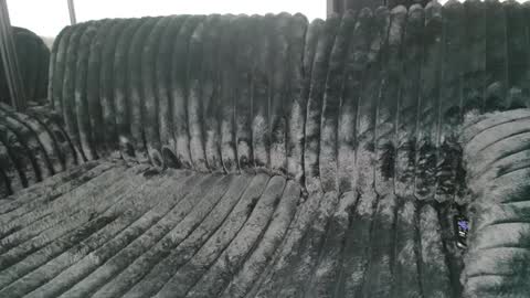 Snapshot of drayanicole1 chatting on 9, 3, 2025 Draya Nicole online show from 9, 3, 2025