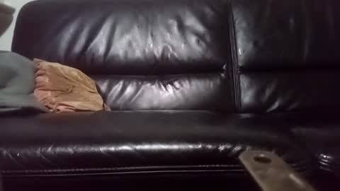 Snapshot of drbretholding chatting on 20, 2, 2025 Carsten Tenberg online show from 20, 2, 2025