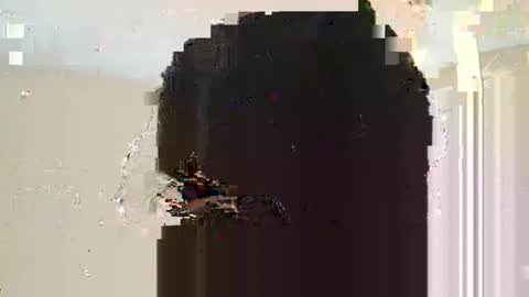 Dread online show from 10, 3, 2025