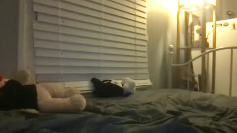 ur dream girl online show from 12, 1, 2025