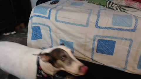 dreamreal online show from 12, 10, 2025