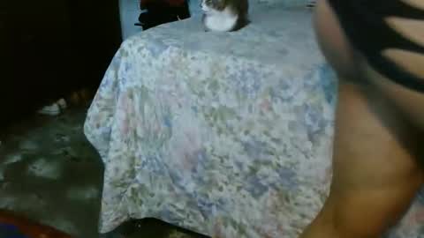 dreamreal online show from 31, 10, 2025