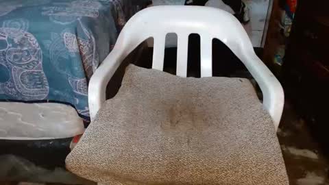 dreamreal online show from 20, 3, 2026