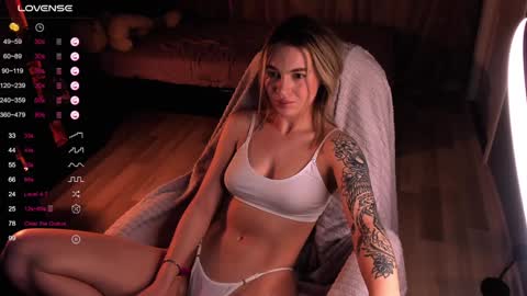 Snapshot of dreamaise chatting on 13, 12, 2024 Mary pvt open use pink and blue app lovense online show from 13, 12, 2024