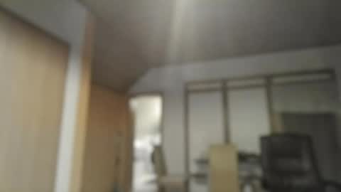 Dreambob online show from 9, 10, 2025