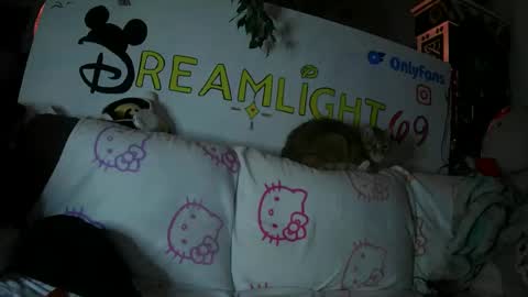 Snapshot of dreamlight69 chatting on 26, 1, 2025 Dreamlight online show from 26, 1, 2025