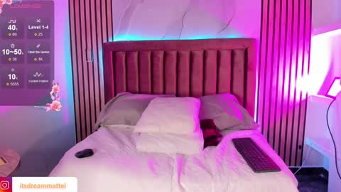 Snapshot of dreammatell_ chatting on 28, 1, 2025 Dream Matell online show from 28, 1, 2025