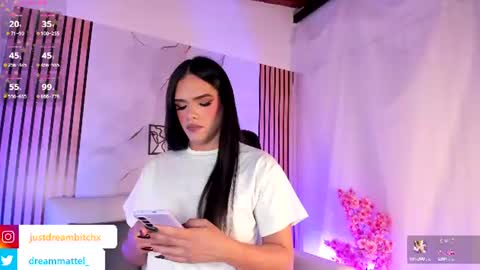 Snapshot of dreammatell_ chatting on 24, 6, 2026 Dream Matell online show from 24, 6, 2026