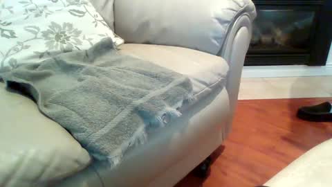Snapshot of drexx1x chatting on 24, 12, 2024 drexx1x online show from 24, 12, 2024