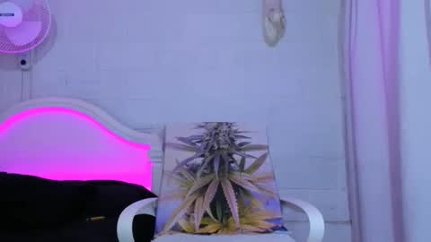 drippyorlove online show from 5, 11, 2025