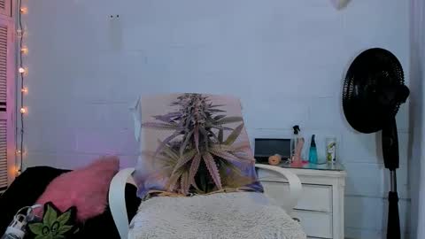 drippyorlove online show from 16, 4, 2026