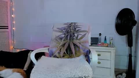 drippyorlove online show from 16, 4, 2026